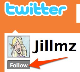 To start following a Twitter user, click the “follow” button that appears by their name.